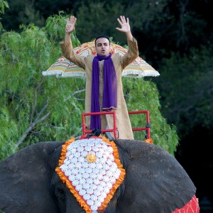 Yup, I'm getting married. And yes, I'm on an elephant. 